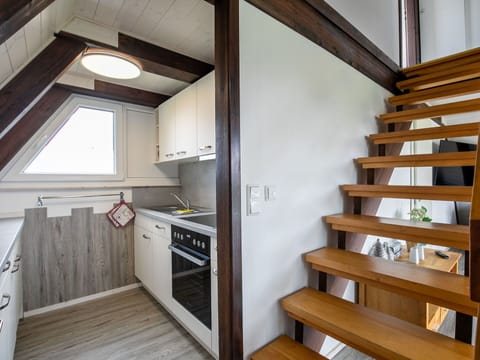 Property, Wood, Interior Design, Architecture, Wood Stain, Flooring, Floor, Shelving, Building, Wall