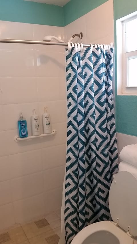 Towels, shampoo, toilet paper