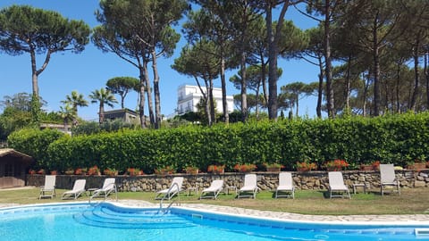 Outdoor pool, sun loungers