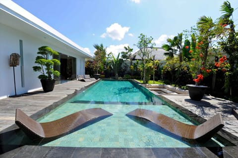 Outdoor pool, sun loungers