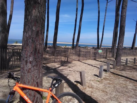 Beach/ocean view