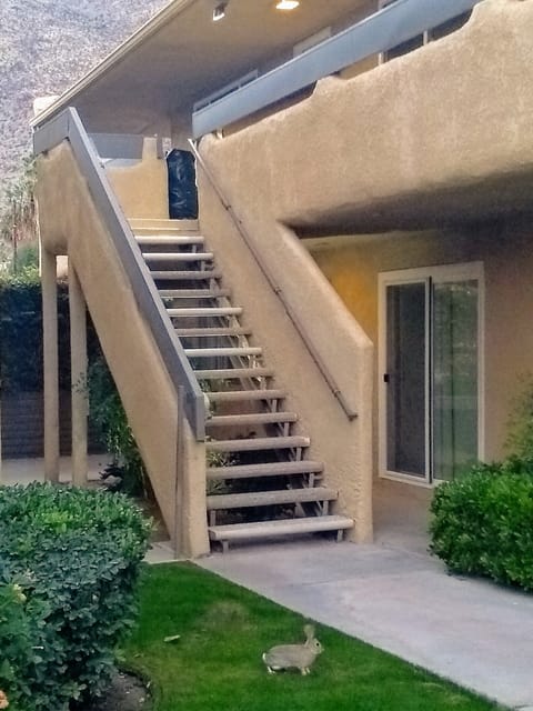Stairs up to our unit (and a friendly rabbit!)