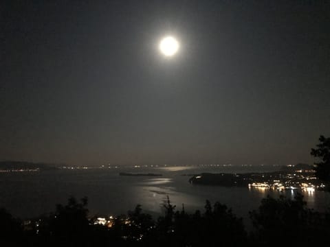 moonlight on the lake