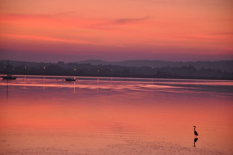 Bay of Youghal, just a four minute walk from Keane's Cottage and Carriage House.