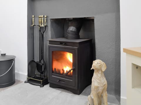 Cosy wood burner | Wylies Brae, New Galloway, near Castle Douglas