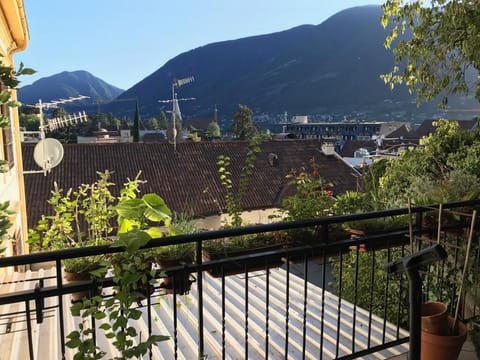 1ddfddad-e2c5-4f3a-907d-8b8fdc583724