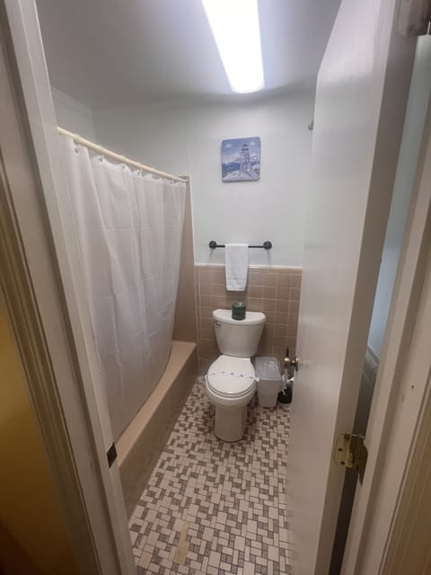 Combined shower/tub, hair dryer, towels