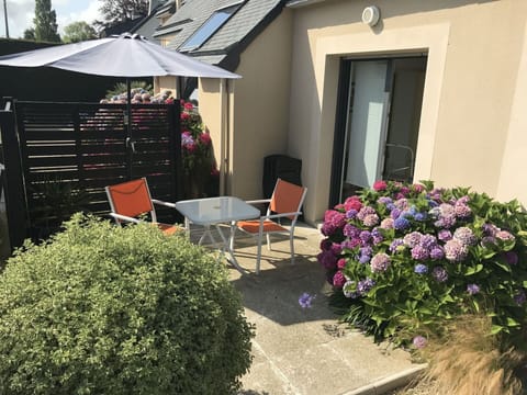 Flower, Plant, Property, Building, Shade, Architecture, Chair, Residential Area, Outdoor Furniture, Landscape