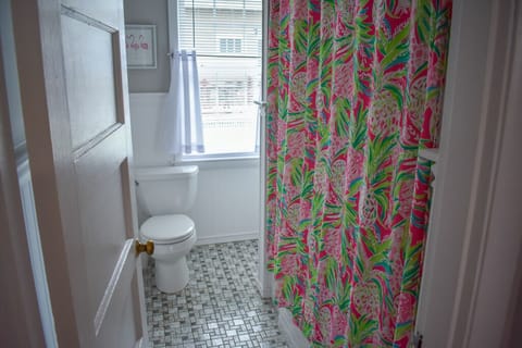 Combined shower/tub, hair dryer