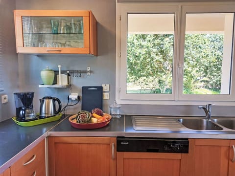 Kitchen, Kitchen Appliance, Countertop, Kitchen Sink, Major Appliance, Cabinetry, Plumbing Fixture, Sink, Furniture, Home Appliance