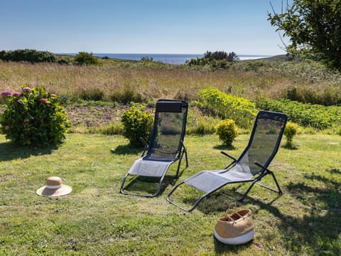 Plant, Sky, Furniture, Plant Community, Chair, Tree, Natural Landscape, Outdoor Furniture, Shade, Land Lot