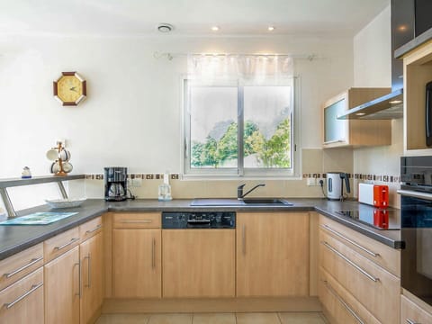 Cabinetry, Kitchen Sink, Countertop, Sink, Tap, Houseplant, Plumbing Fixture, Wood, Kitchen, Window