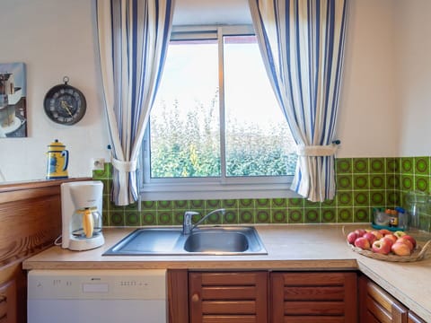 Kitchen Sink, Cabinetry, Countertop, Property, Furniture, Sink, Window, White, Blue, Plant