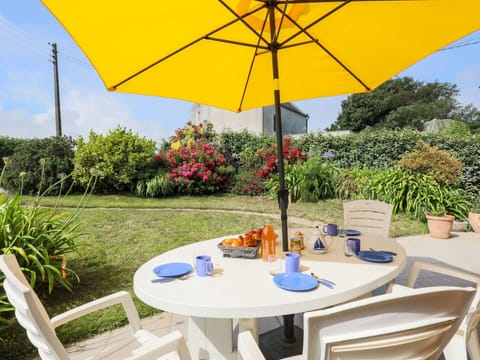 Plant, Table, Furniture, Property, Outdoor Table, Tableware, Nature, Azure, Umbrella, Chair