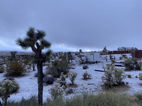 It snows out here :) January storm 