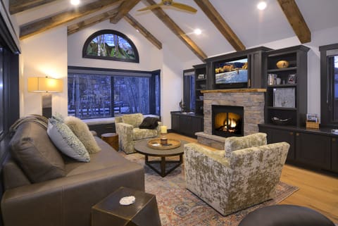 Smart TV, fireplace, books