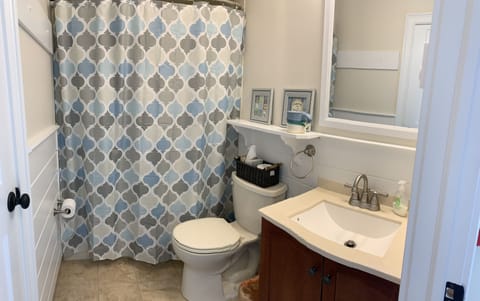 Combined shower/tub, hair dryer