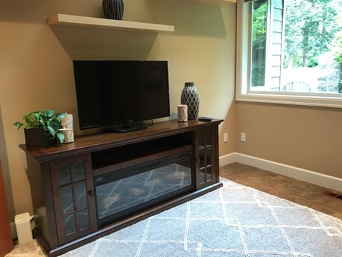 TV, fireplace, books