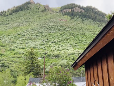 MOUNTAIN VIEW FROM BEDROOMS AND REAR YARD.