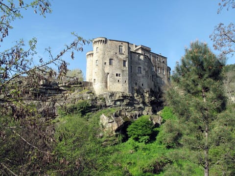 Furniture, Cabinetry, Property, Table, Tableware, Interior Design, Dishware, Wood, Countertop, Drawer