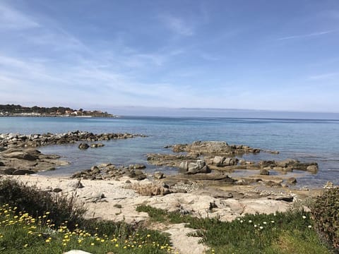 On the beach