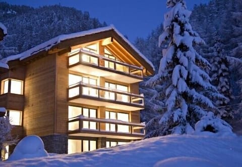 Chalet Altesse by night in winter