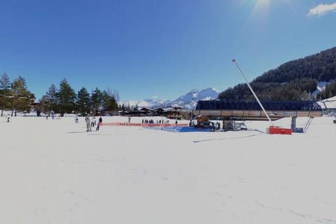 Snow and ski sports