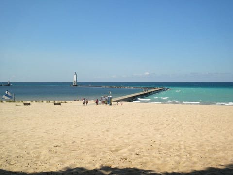 Beach | Sun loungers