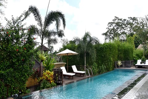 Outdoor pool, a lap pool