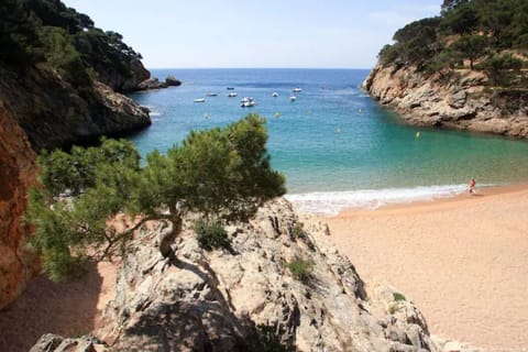 Beach nearby, sun loungers