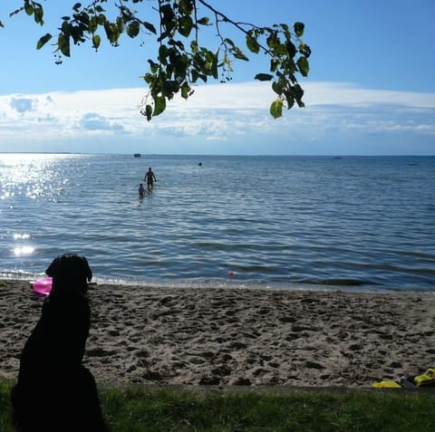 On the beach, sun loungers, beach towels