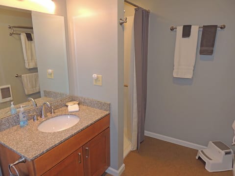 Combined shower/tub, hair dryer, towels, toilet paper