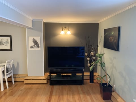 TV/Living Area