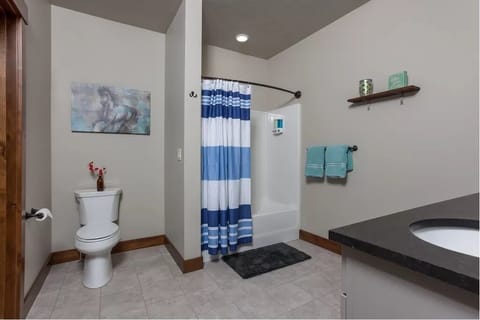 Combined shower/tub, hair dryer, towels, soap