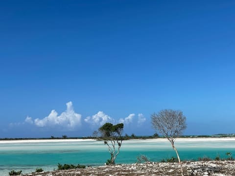 On the beach, sun loungers, beach towels