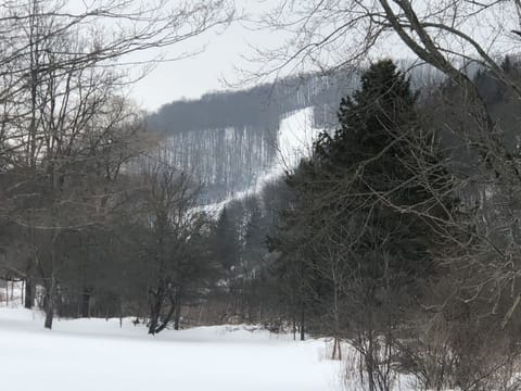 Fabulous view of skiers swooshing down Sunrise slope outside your window!