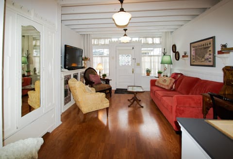 TV, fireplace, books