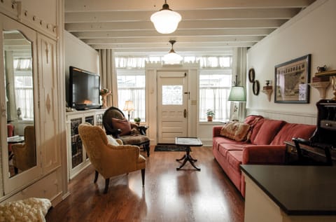 TV, fireplace, books