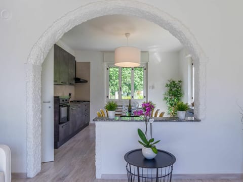 Plant, Property, Furniture, White, Flowerpot, Houseplant, Wood, Interior Design, Window, Floor