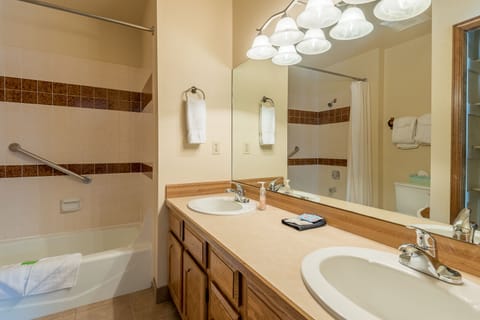 Combined shower/tub, hair dryer, towels