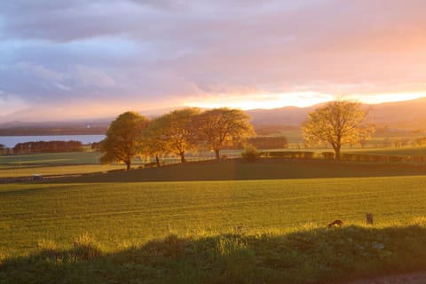 A view from the garden of the stunning light on the fields, looking west