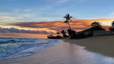 On the beach, sun loungers, beach towels