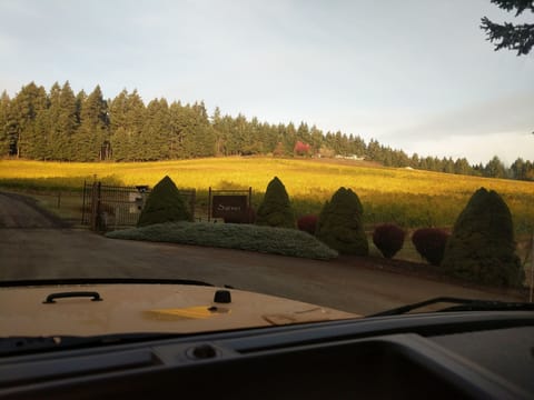 Heading up 'the Hill' on a beautiful fall day.  House at the top.