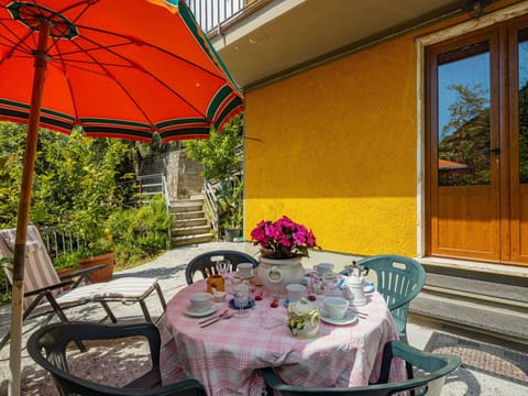 Table, Plant, Furniture, Property, Flower, Chair, Umbrella, Building, Flowerpot, Window
