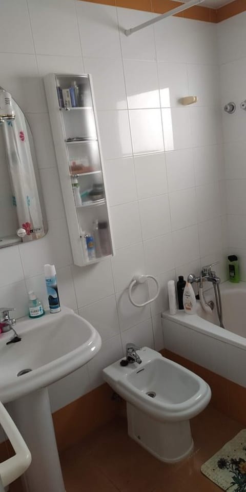Bathtub, bidet, towels