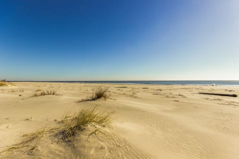 On the beach