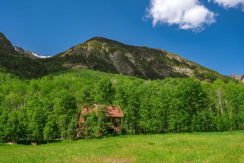 Welcome to Ragged Meadow Ranch!