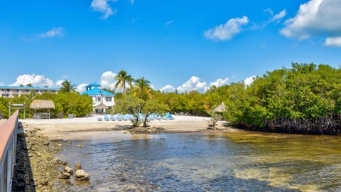 Beach nearby, sun loungers, beach towels