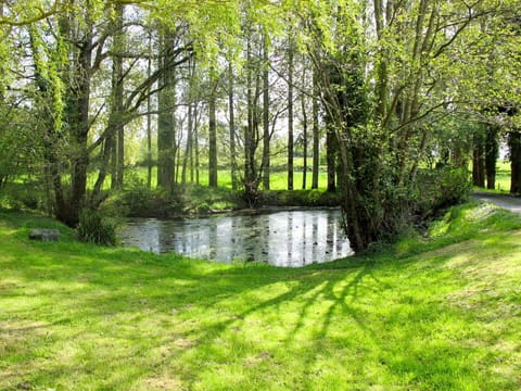 Water, Plant, Green, Natural Landscape, Tree, Natural Environment, Body Of Water, Watercourse, Land Lot