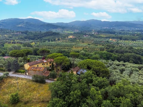 Water, Sky, Plant, Property, Swimming Pool, Azure, Shade, Outdoor Furniture, Sunlounger, Tree